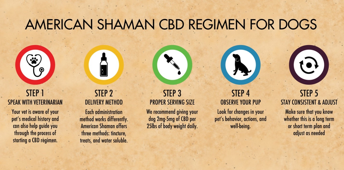 CBD Regimen for Dogs